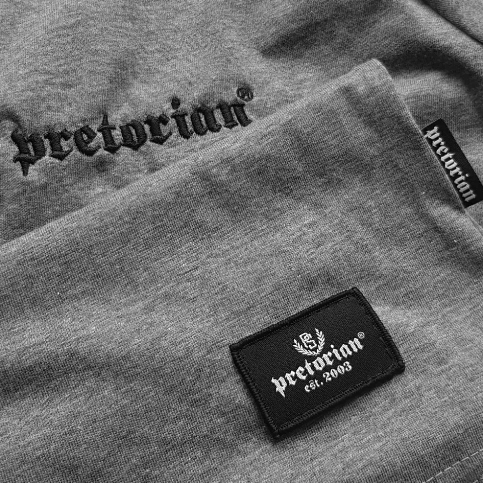 Koszulka Pretorian "Small Logo" - szara