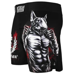 Spodenki MMA Lite Pretorian