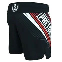 Spodenki MMA Lite Pretorian 