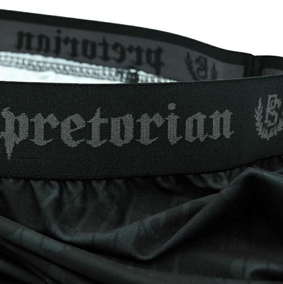 Spodenki Vale Tudo Pretorian "Grey Camo"